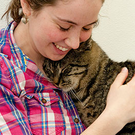 Shelter Pets